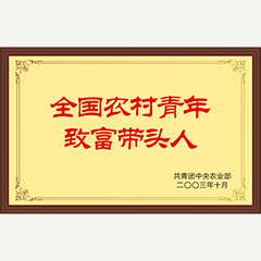 全國(guó)農(nóng)村青年致富帶頭人