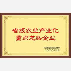 省級(jí)農(nóng)業(yè)產(chǎn)業(yè)化重點(diǎn)龍頭企業(yè)