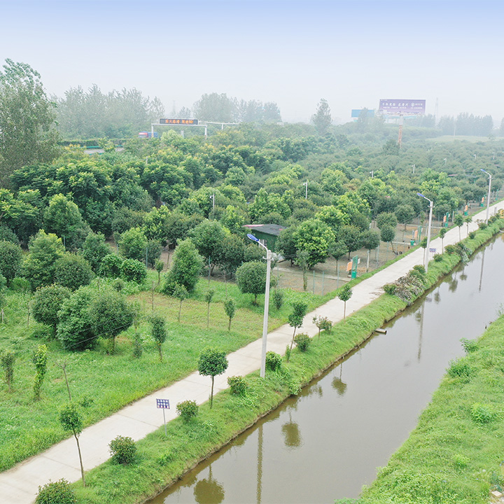 洄溜林下生態(tài)養(yǎng)雞場