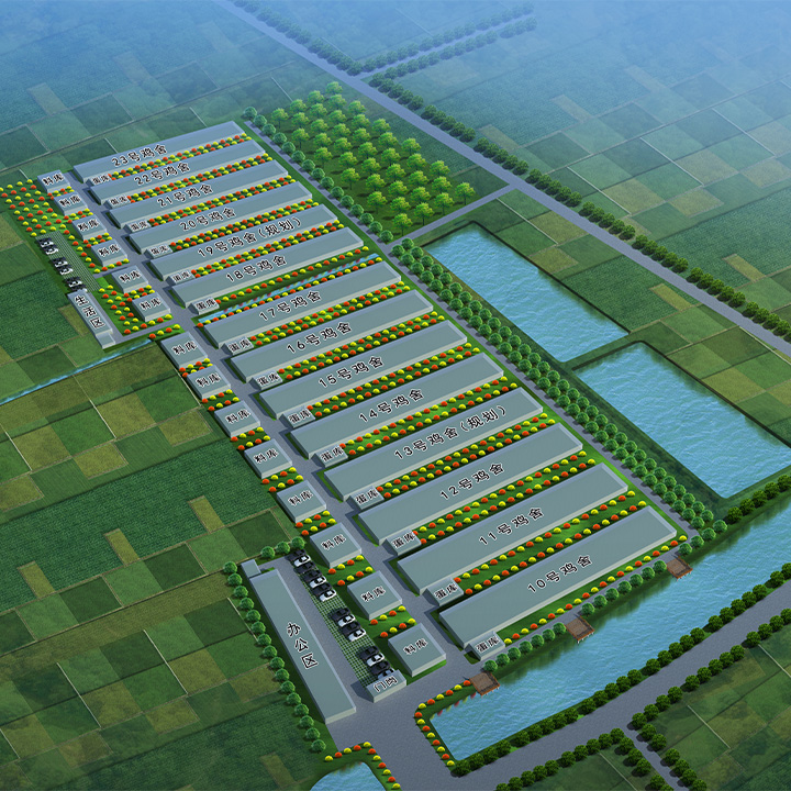 洄溜養(yǎng)雞場