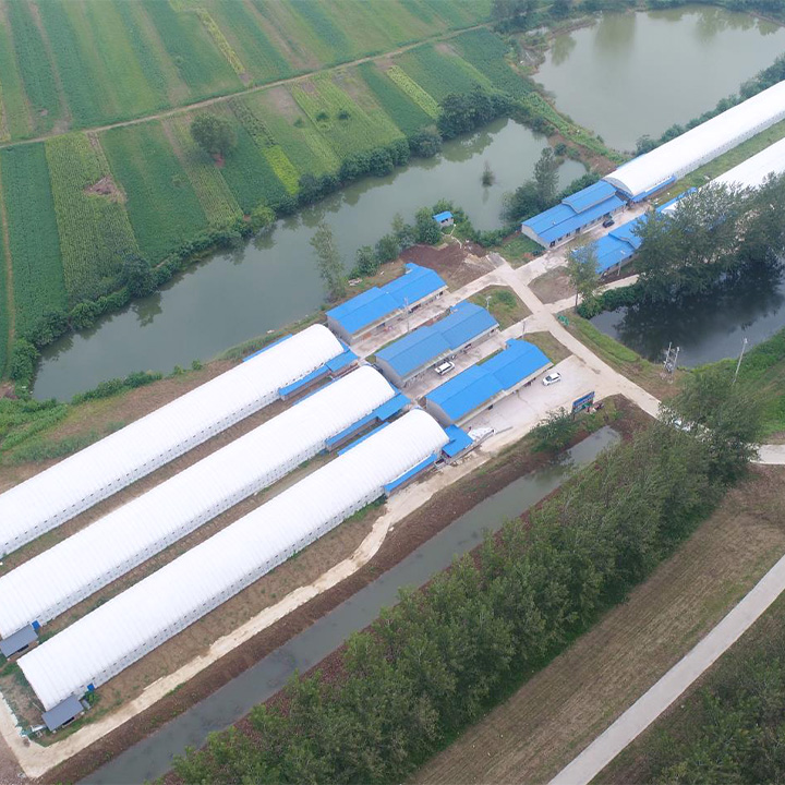 李門樓標(biāo)準(zhǔn)化養(yǎng)雞場