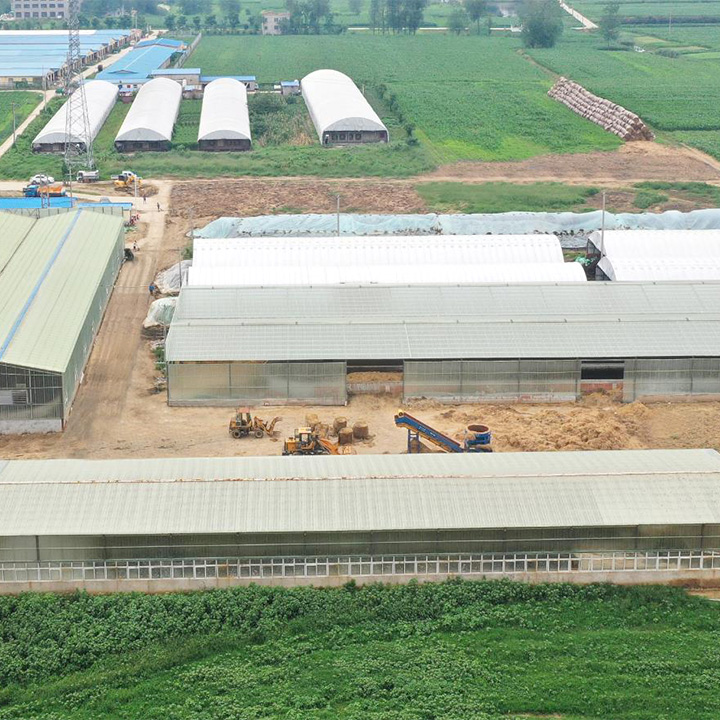 生物發(fā)酵處理